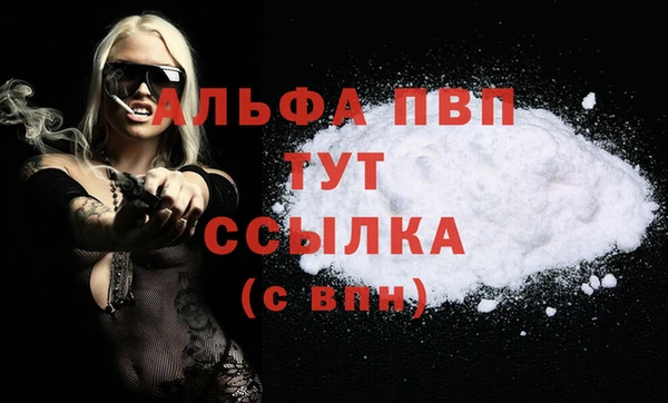 гашик Абаза