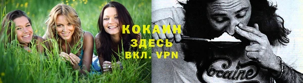 гашик Абаза