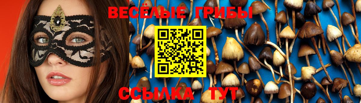 Галлюциногенные грибы мухоморы  Вход с VPN  закладки  Абакан 